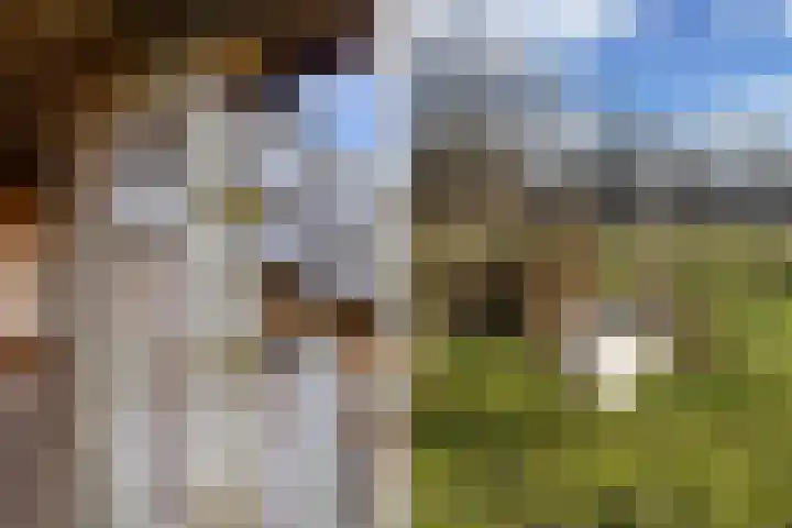 De Peinder Mieden 27 Opeinde thumbnail 64