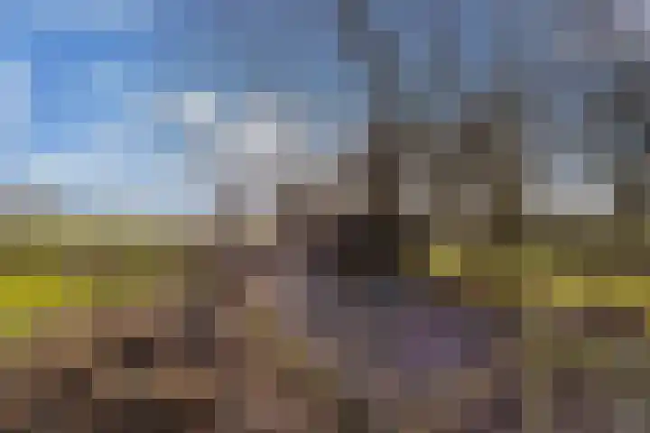 De Peinder Mieden 27 Opeinde thumbnail 65