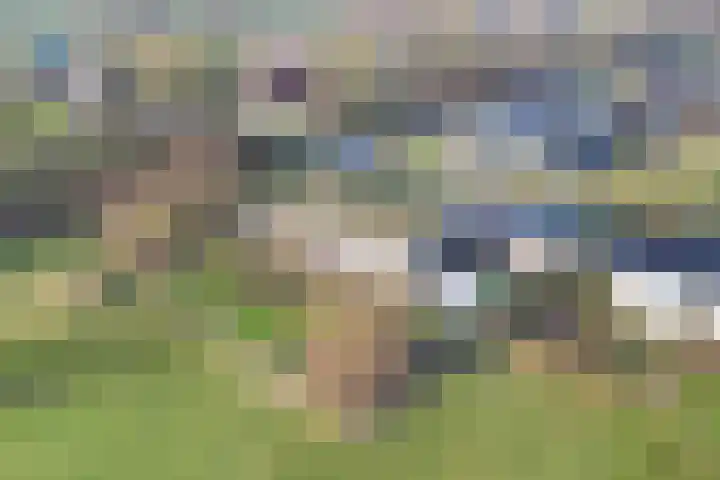 De Peinder Mieden 27 Opeinde thumbnail 69