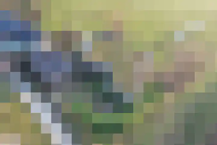 De Peinder Mieden 27 Opeinde thumbnail 70