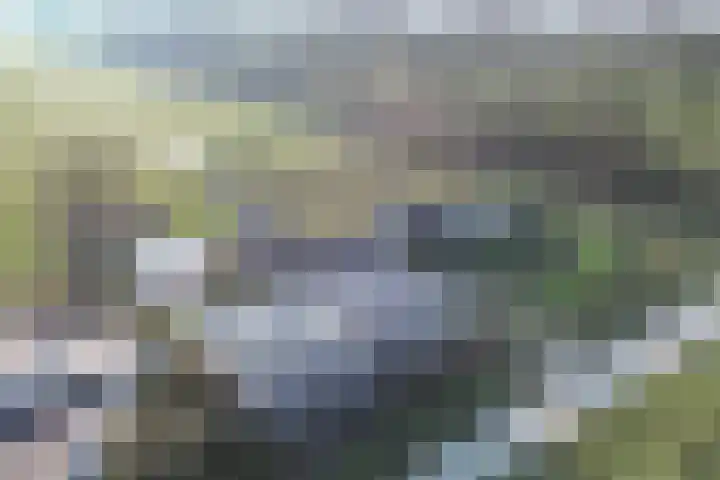 De Peinder Mieden 27 Opeinde thumbnail 71