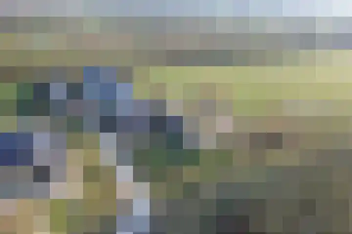 De Peinder Mieden 27 Opeinde thumbnail 72