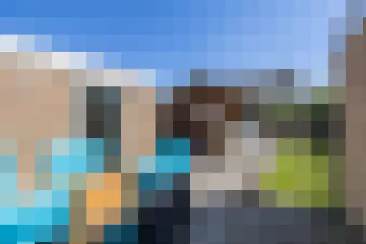 De Pelfinne 8 Mitselwier thumbnail 10