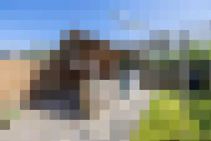De Pelfinne 8 Mitselwier thumbnail 12