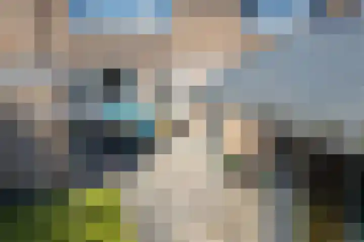 De Pelfinne 8 Mitselwier thumbnail 13