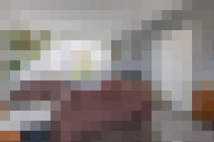 De Pelfinne 8 Mitselwier thumbnail 16