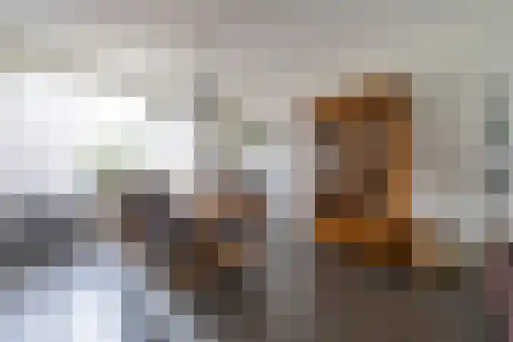De Pelfinne 8 Mitselwier thumbnail 17