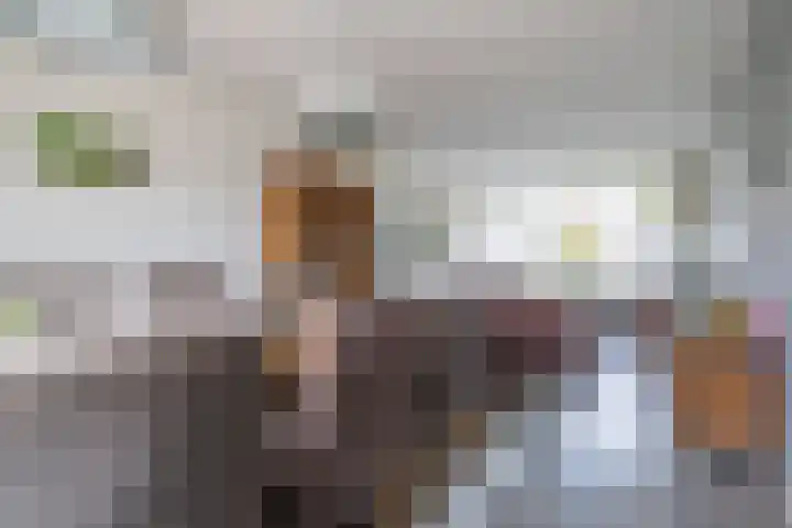 De Pelfinne 8 Mitselwier thumbnail 18