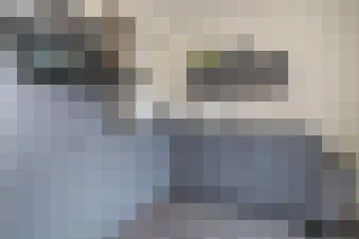 De Pelfinne 8 Mitselwier thumbnail 19