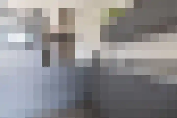 De Pelfinne 8 Mitselwier thumbnail 20
