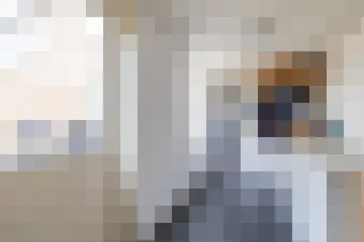 De Pelfinne 8 Mitselwier thumbnail 23