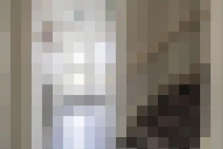 De Pelfinne 8 Mitselwier thumbnail 25