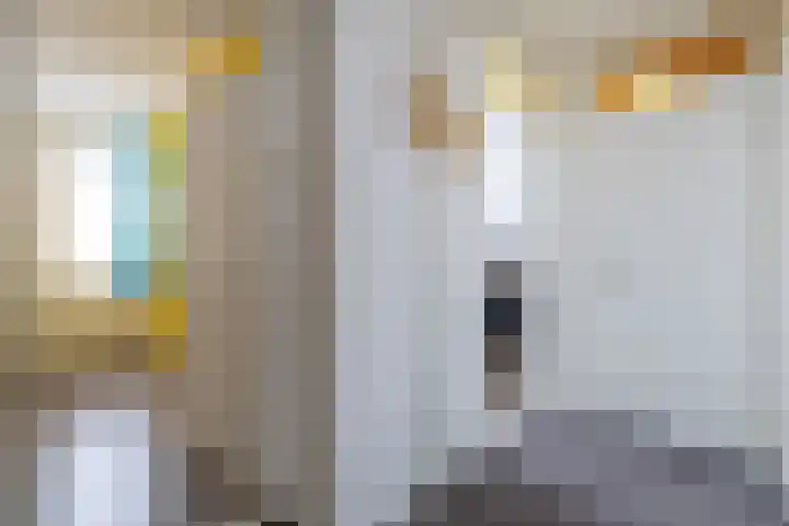 De Pelfinne 8 Mitselwier thumbnail 26