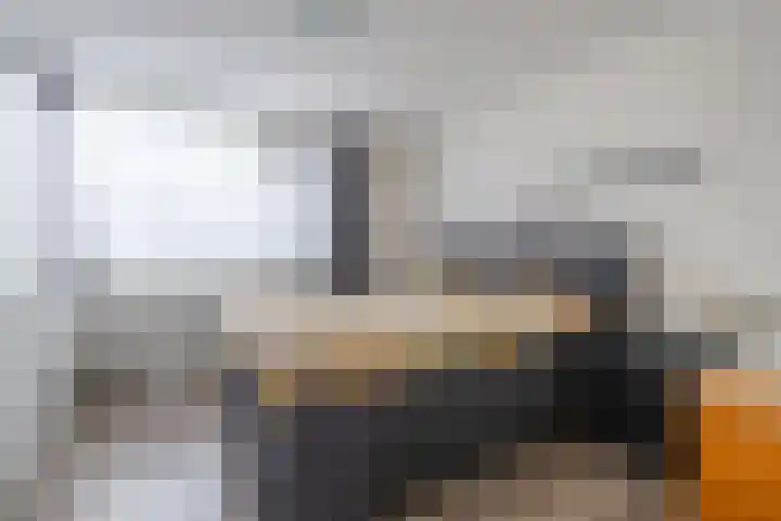 De Pelfinne 8 Mitselwier thumbnail 27