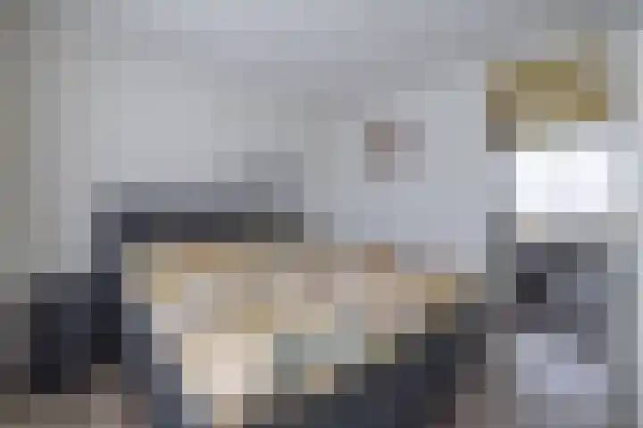 De Pelfinne 8 Mitselwier thumbnail 28