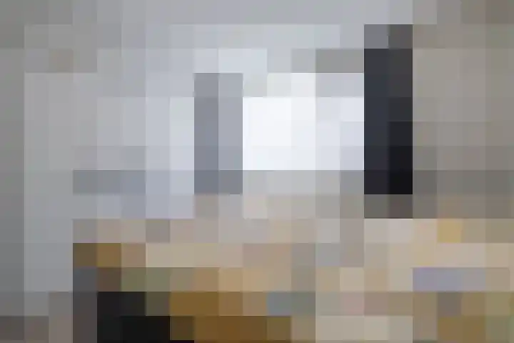 De Pelfinne 8 Mitselwier thumbnail 29