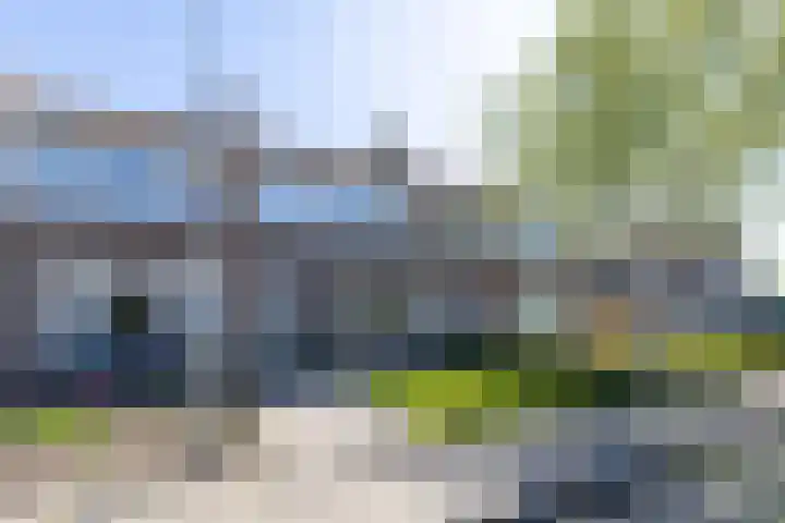 De Pelfinne 8 Mitselwier foto 3