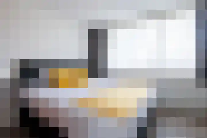 De Pelfinne 8 Mitselwier thumbnail 31