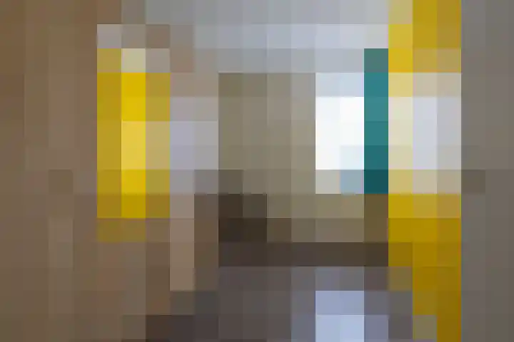 De Pelfinne 8 Mitselwier thumbnail 32