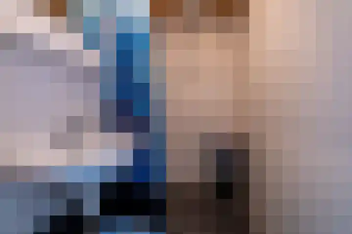De Pelfinne 8 Mitselwier thumbnail 37