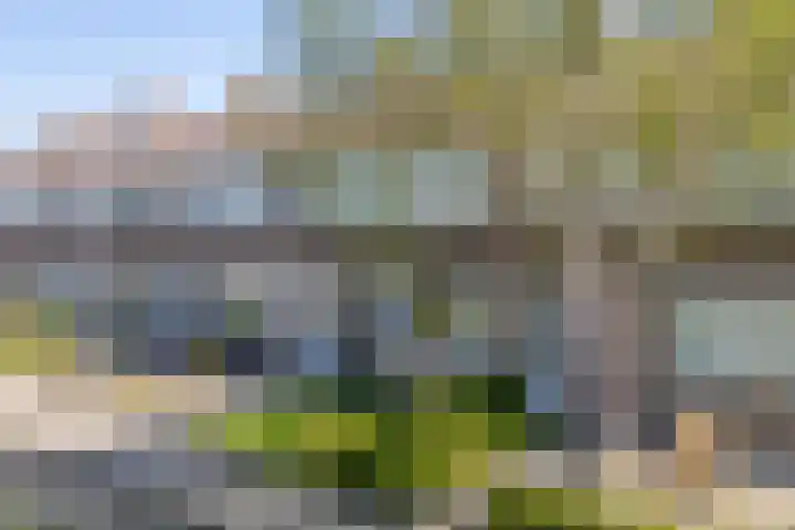 De Pelfinne 8 Mitselwier thumbnail 38