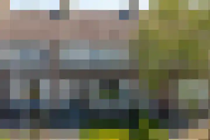 De Pelfinne 8 Mitselwier thumbnail 39