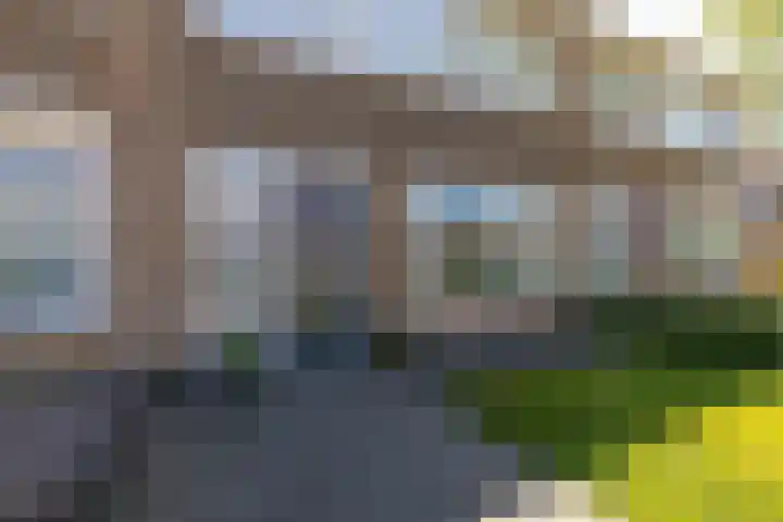 De Pelfinne 8 Mitselwier thumbnail 4