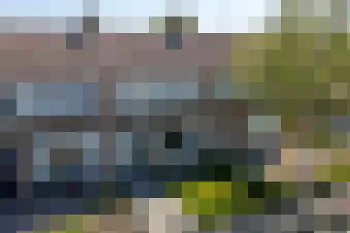 De Pelfinne 8 Mitselwier thumbnail 40