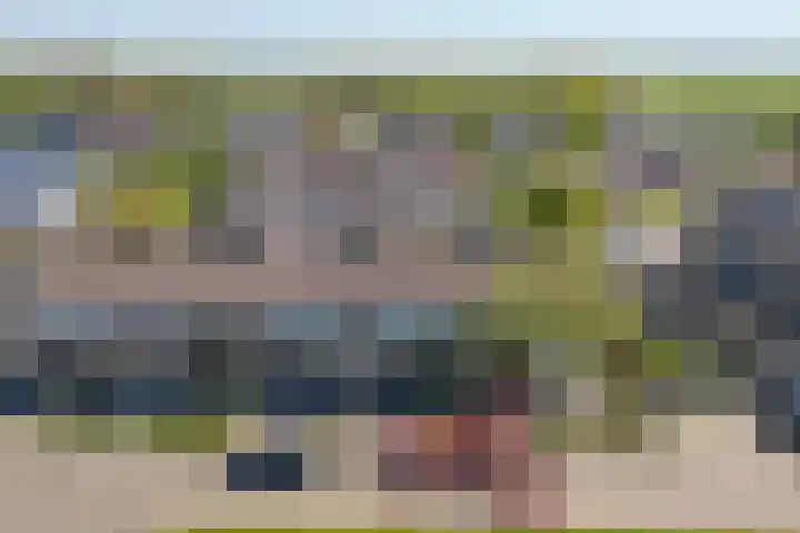 De Pelfinne 8 Mitselwier thumbnail 41