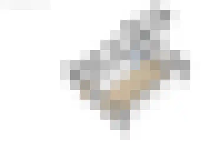 De Pelfinne 8 Mitselwier thumbnail 46
