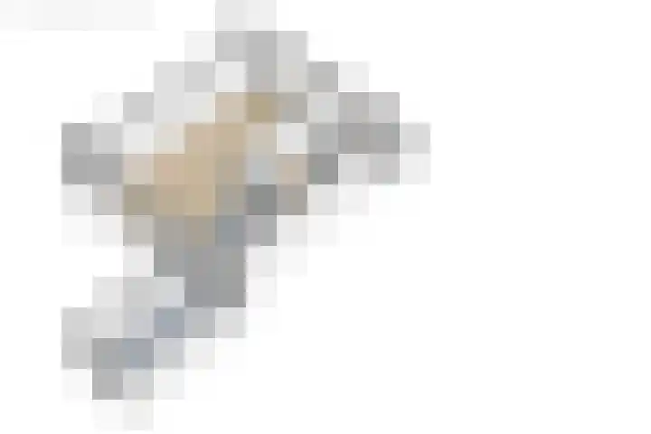 De Pelfinne 8 Mitselwier thumbnail 48