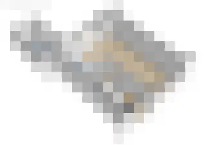 De Pelfinne 8 Mitselwier thumbnail 49