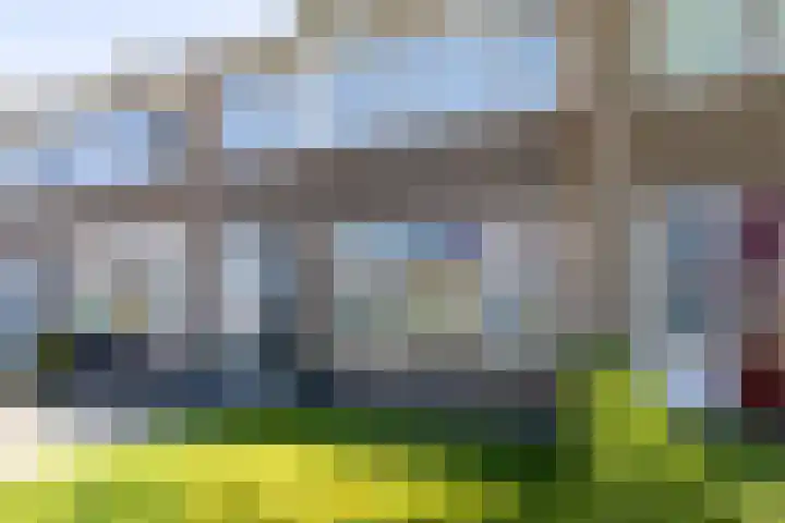 De Pelfinne 8 Mitselwier thumbnail 5