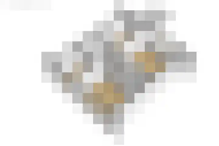 De Pelfinne 8 Mitselwier thumbnail 53