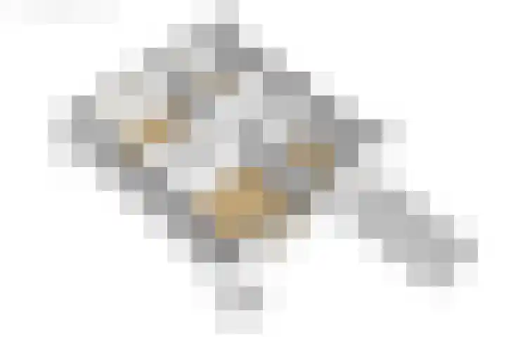 De Pelfinne 8 Mitselwier thumbnail 54