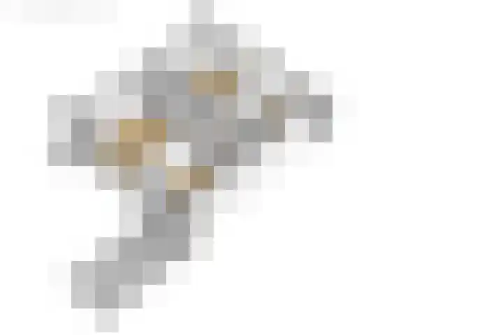 De Pelfinne 8 Mitselwier thumbnail 55