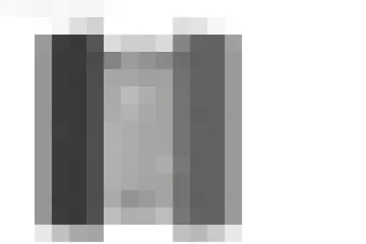 De Pelfinne 8 Mitselwier thumbnail 58