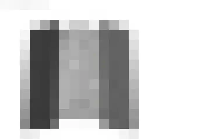 De Pelfinne 8 Mitselwier thumbnail 59