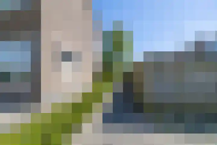 De Pelfinne 8 Mitselwier thumbnail 6