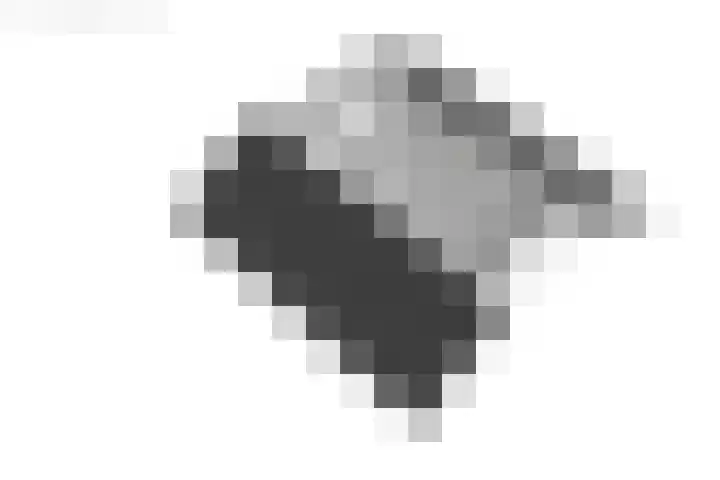 De Pelfinne 8 Mitselwier thumbnail 60
