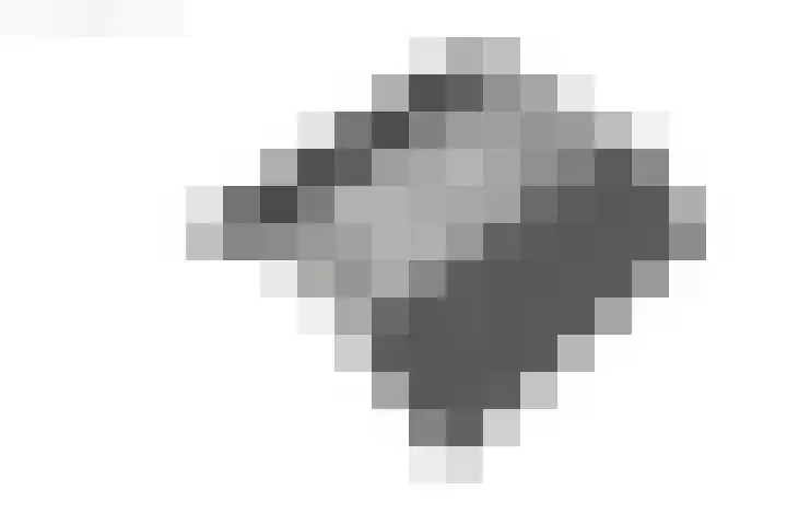 De Pelfinne 8 Mitselwier thumbnail 61