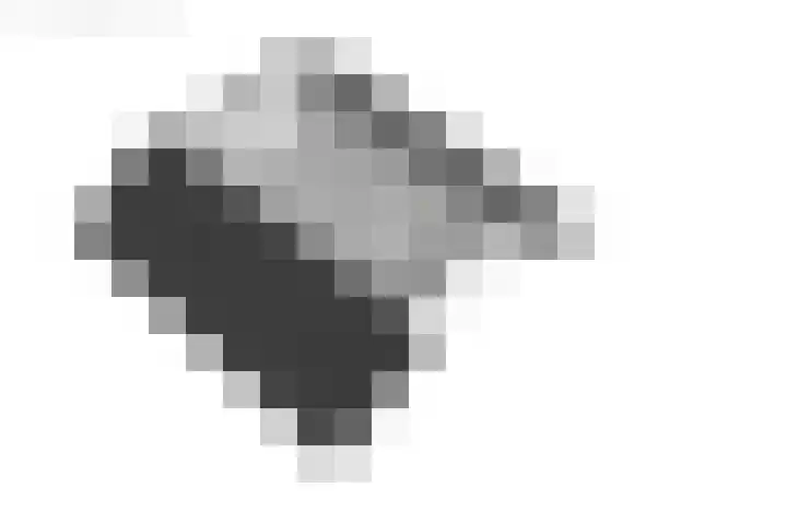 De Pelfinne 8 Mitselwier thumbnail 62