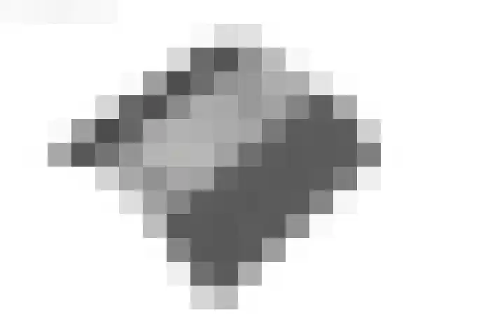 De Pelfinne 8 Mitselwier thumbnail 63