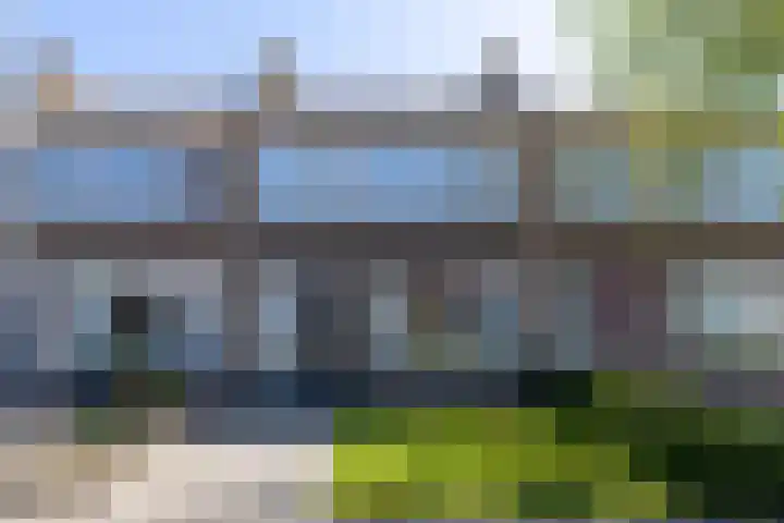 De Pelfinne 8 Mitselwier thumbnail 66