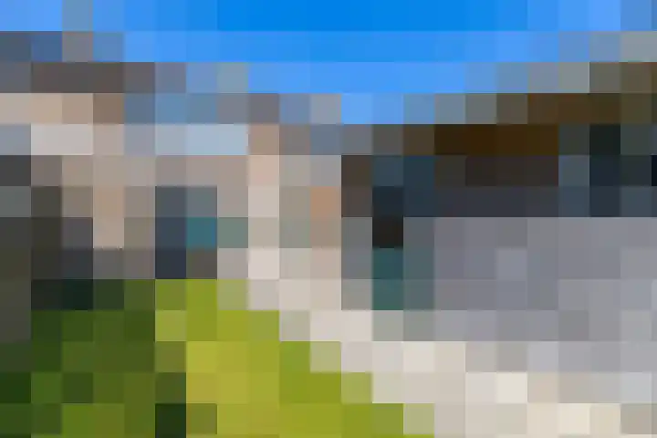 De Pelfinne 8 Mitselwier thumbnail 7