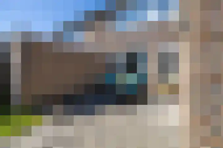 De Pelfinne 8 Mitselwier thumbnail 8