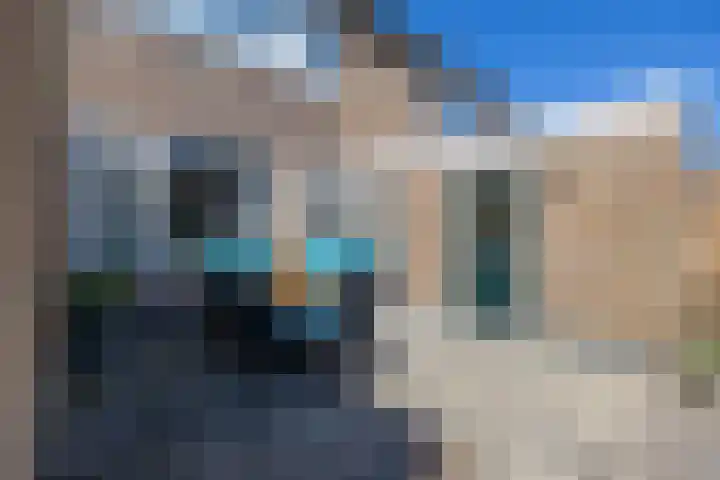 De Pelfinne 8 Mitselwier thumbnail 9