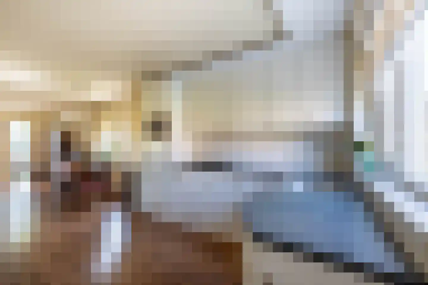 De Pelikaan 23 Almelo thumbnail 11