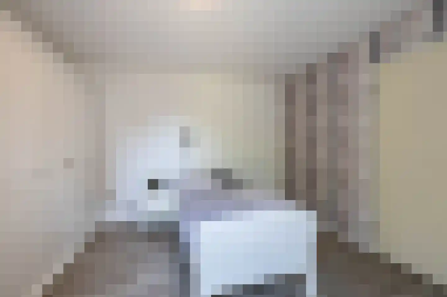 De Pelikaan 23 Almelo thumbnail 13