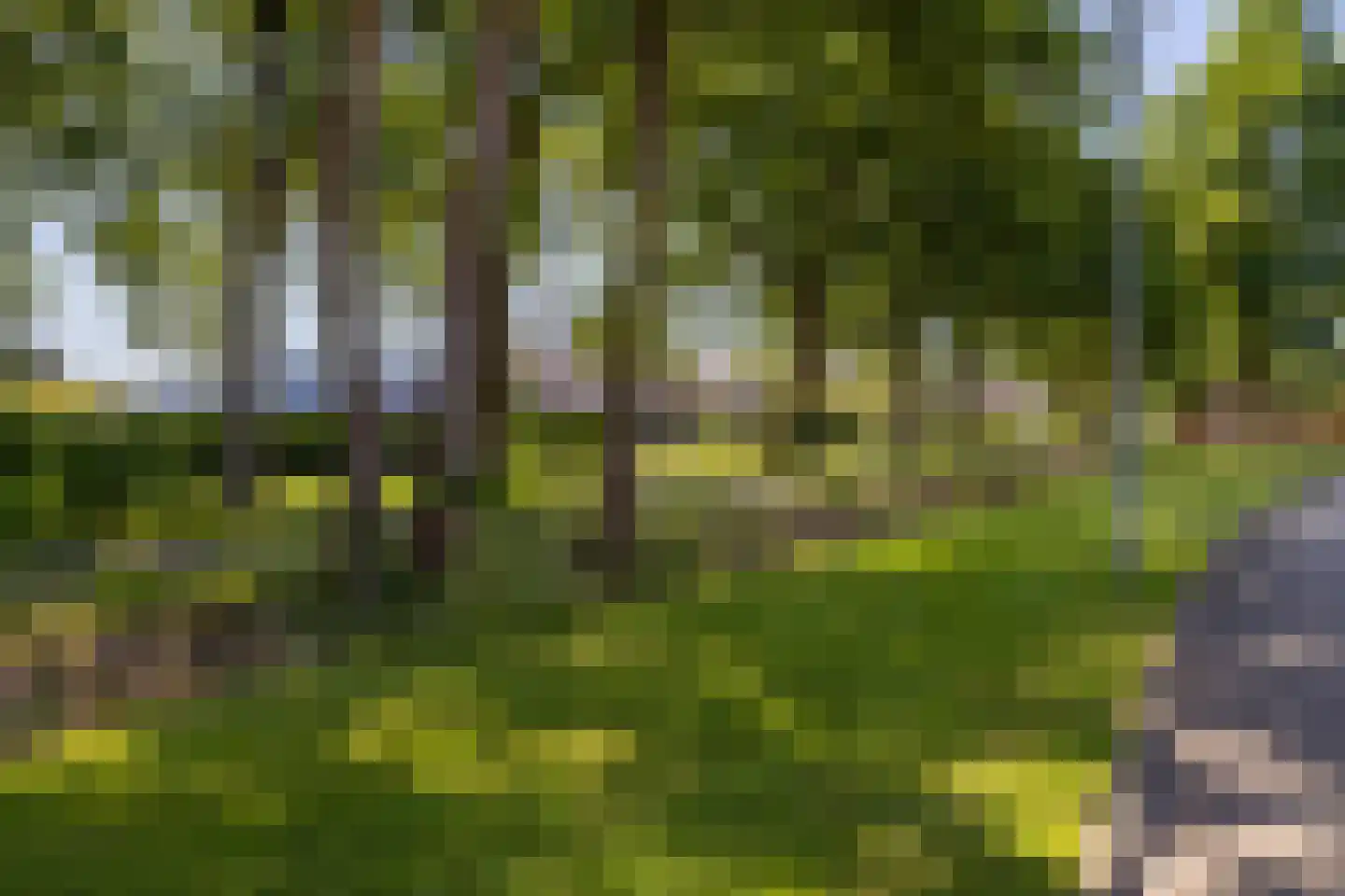 De Pelikaan 23 Almelo thumbnail 29